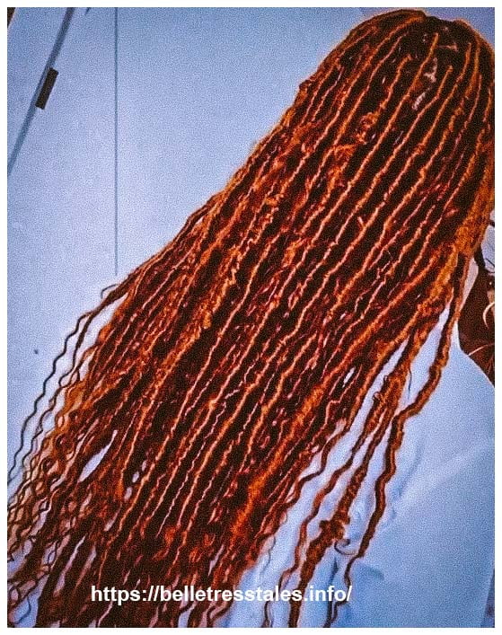 Bohemian Vibrant Locs 