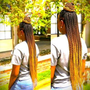 Ombre Tribal Braids