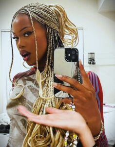 Stylish Caramel Blonde Tribal Braids