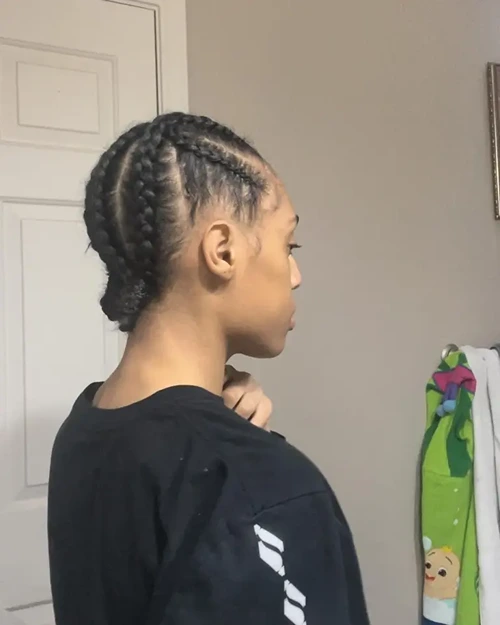 Criss Cross Braids With 2 Low Buns