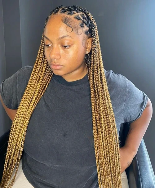 Mixed colors criss cross knotless braids