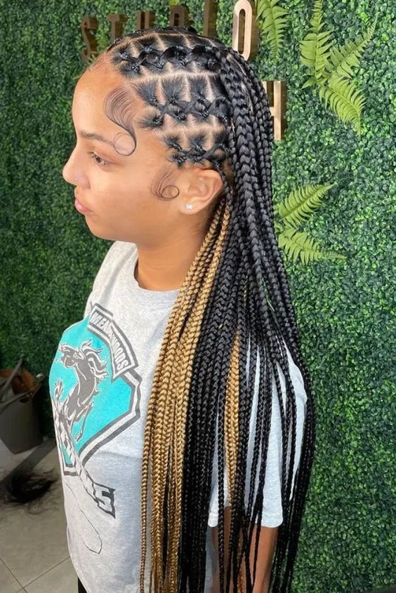 Two Color Criss Cross Knotless Braids