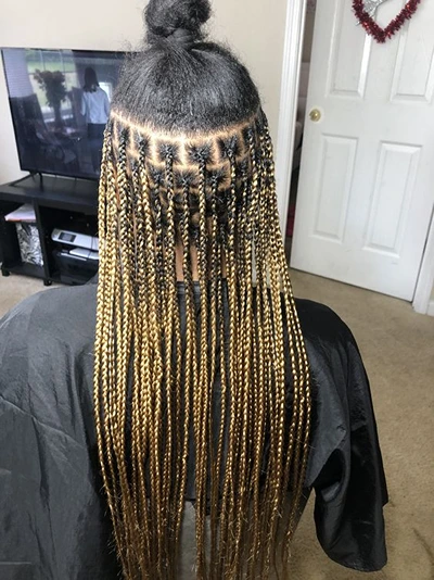 black and honey blonde knotless braids